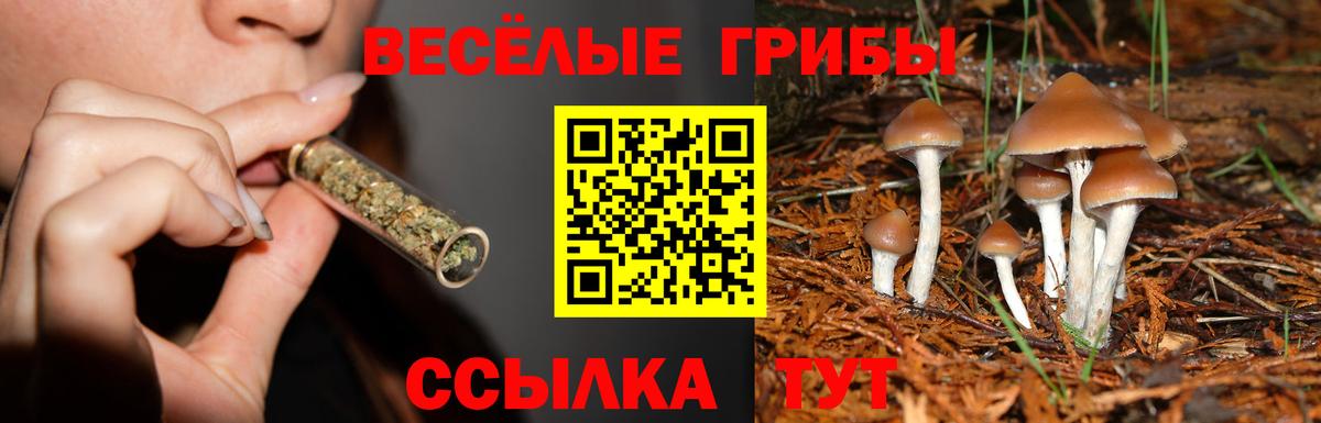 Липецк  Псилоцибиновые грибы GOLDEN TEACHER  закладка  Вход с VPN 